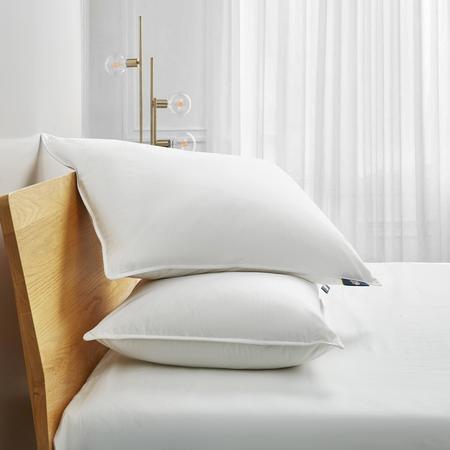 SERTA Back-Sleeper White Goose Feather & Down Fiber Pillows, Jumbo, PK2 SE201511K